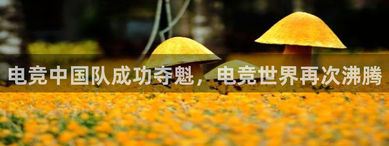 JJB电竞官方网站：电竞中国队成功夺魁，电竞世界再次沸腾