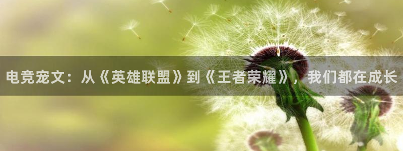 JJB电竞官方网站：电竞宠文：从《英雄联盟》到《王者荣耀》，我们都在成长