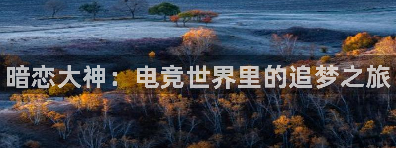 JJB电竞官：暗恋大神：电竞世界里的追梦之旅