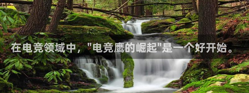 JJB电竞官方网站：在电竞领域中，\
