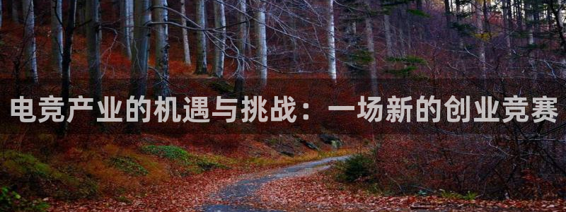 JJB电竞官：电竞产业的机遇与挑战：一场新的创业竞赛