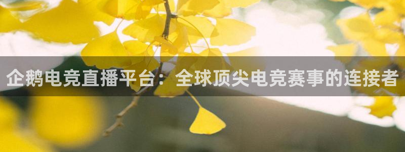 JJB电竞官方网站：企鹅电竞直播平台：全球顶尖电竞赛事的连接者