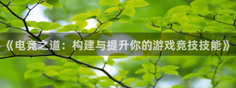 JJB电竞官：《电竞之道：构建与提升你的游戏竞技技能》